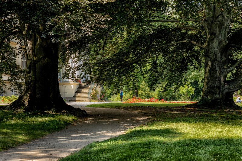 Toniova zámecká kavárna