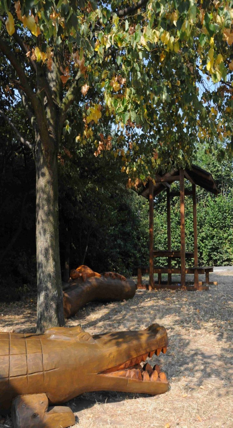 Rozhledna Vodárna Kolín