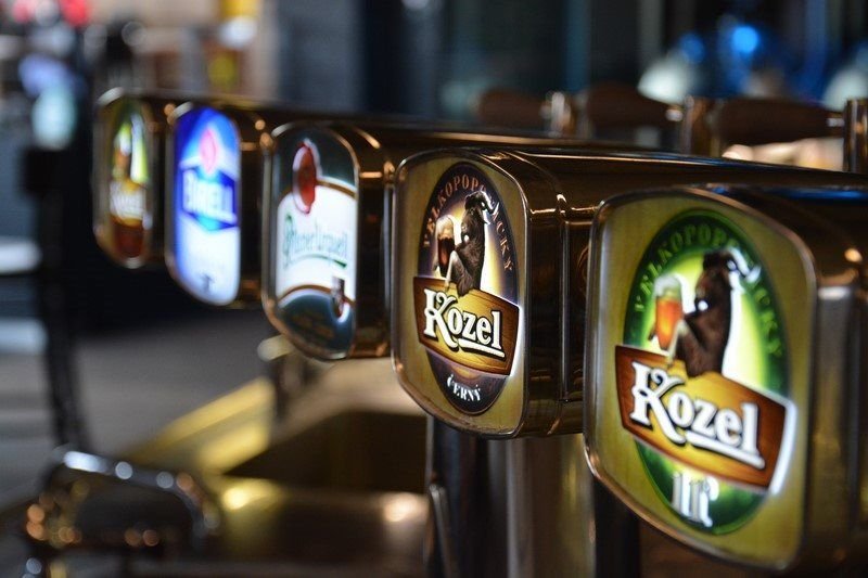 Kozlovna U Plechandy