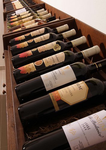 Vinium a.s. - výroba vína