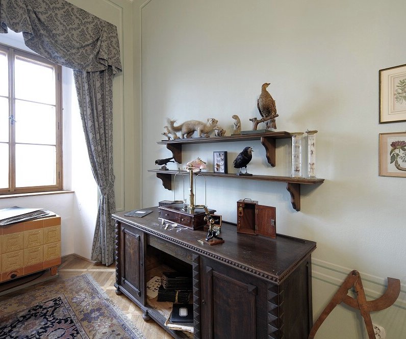 Zámecký areál Žirovnice  - TIC