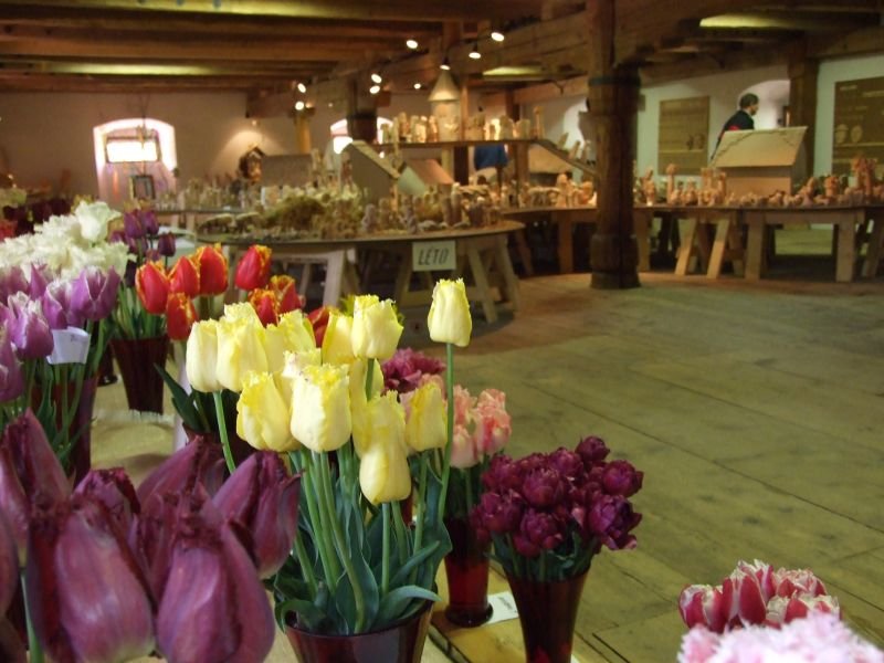 Zámecký areál Žirovnice  - TIC