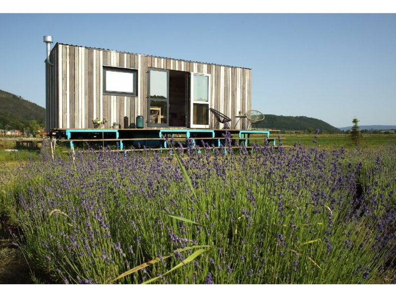 Levandulové údolí