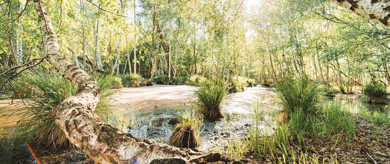 Slatinné lázně Toušeň