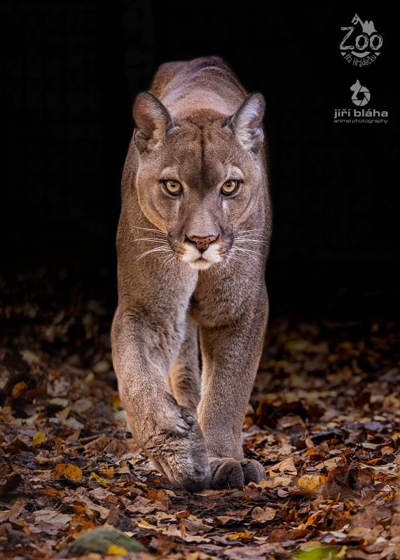 Zoopark Na Hrádečku