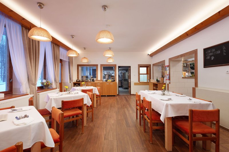 ProFamily Hotel Top Benecko - restaurace