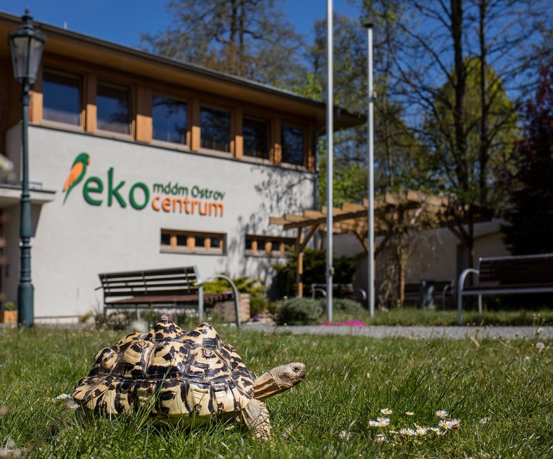 Ostrov - Infocentrum Na Zámku