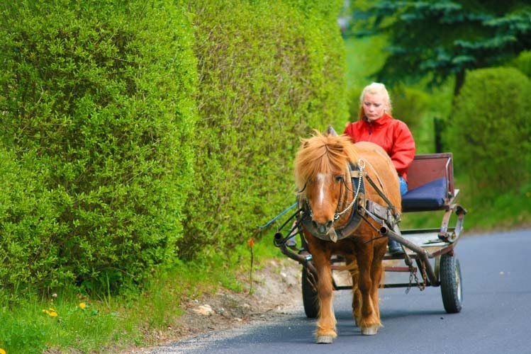 Hotel a Pension Seeberg