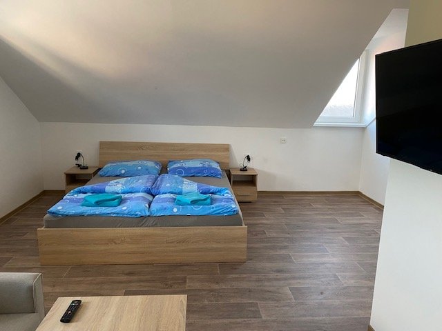 Hostinec U pejska a kočičky - penzion