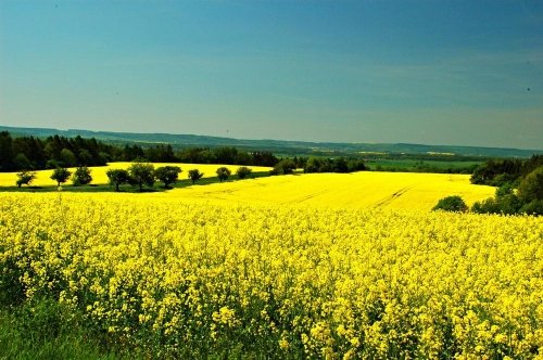 Rekreační středisko Drhleny v Českém ráji